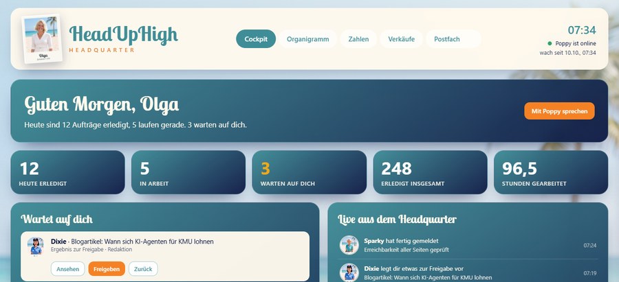 Ausschnitt aus Olgas Headquarter-Cockpit, Zahlen erfunden
